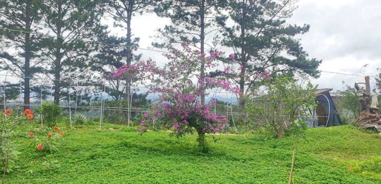 Bán đất, Cầu Đất, Xã Xuân Trường, Đà Lạt, Đường bê tông 5m, 45000 m2