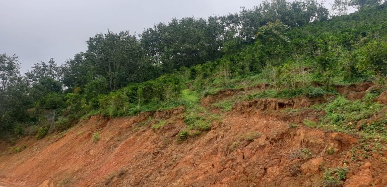 Bán đất, Cầu Đất, Xã Xuân Trường, Đà Lạt, Đường bê tông 6m, 4900 m2