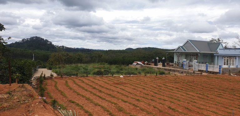 Bán đất, Thôn Đa Thọ, Xã Xuân Thọ, Đà Lạt, Đường ô tô quốc lộ 15m, 3100 m2