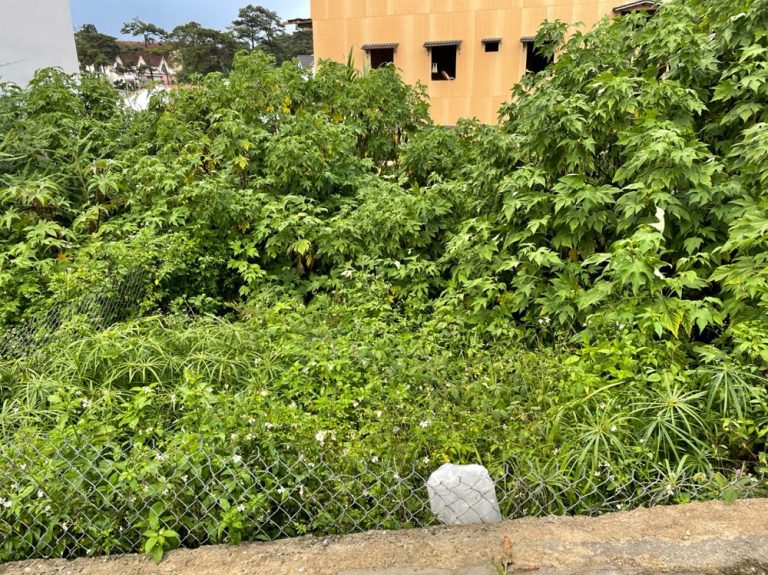 Bán đất, Đường Đa Minh, Phường 5, Tp Đà Lạt, Đường ô tô 4 m, 64 m2