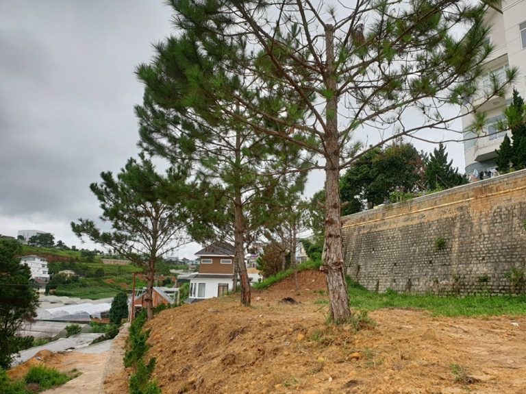 Bán đất, Đường Phù Đổng Thiên Vương, Phường 8, Tp Đà Lạt, Đường ô tô vào tận nơi 5 m, 450 m2