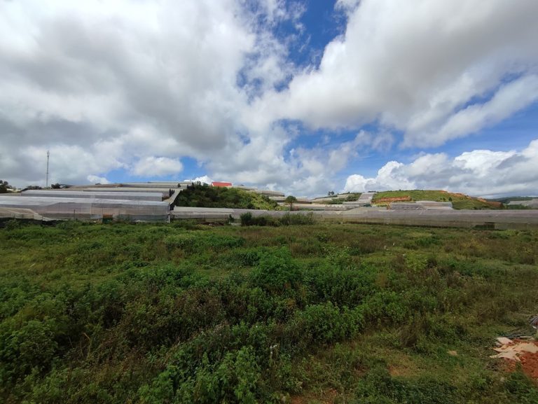 Bán đất, Huyện Lạc Dương, Đà Lạt, Đường ô tô vào tận nơi 5m, 7000 m2