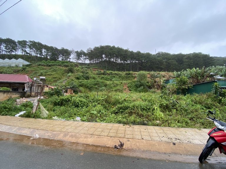 Bán đất, Lạc Dương, Tp Đà Lạt, Lâm Đồng, Mặt tiền đường nhựa ô tô 5 m, 900 m2