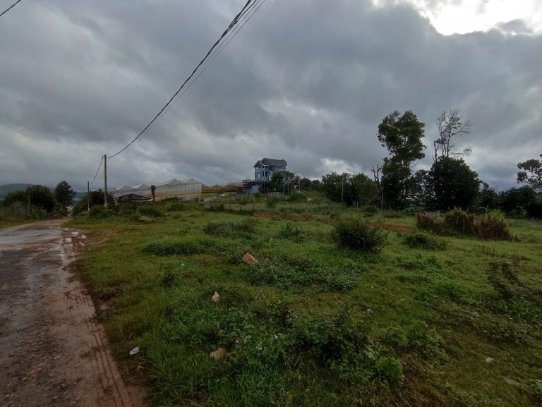 Bán đất, Đường Măng Line, Phường 7, Đà Lạt, Đường ô tô 5m, 202 m2