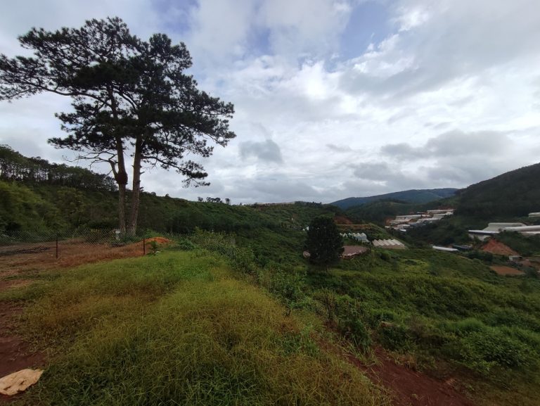 Bán đất, Đường Măng Line, P7, Đà Lạt, Đường nhựa ô tô 5m, 260 m2