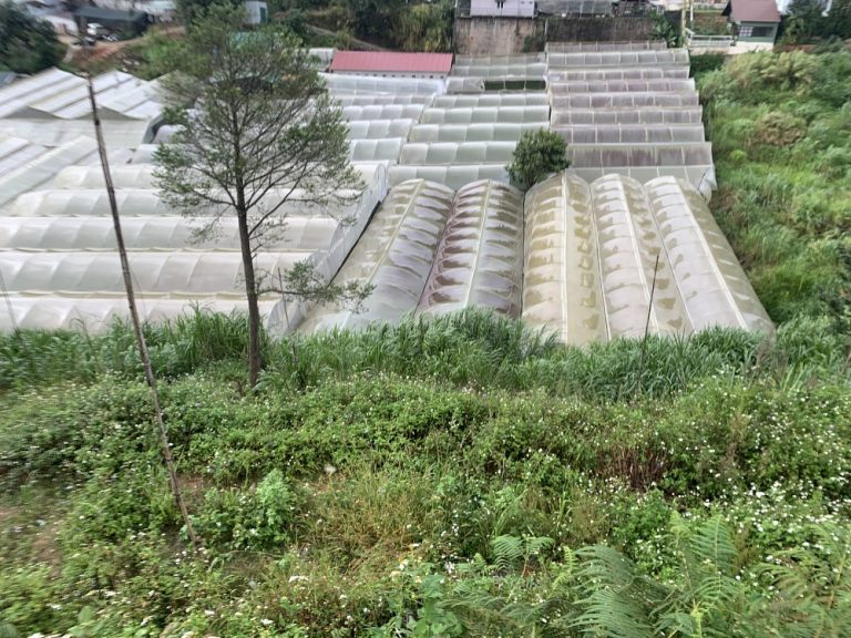 Bán đất, Đường Nguyễn Hữu Cảnh, Phường 8, Đà Lạt, Đường ô tô vào tận nơi 12m, 400 m2