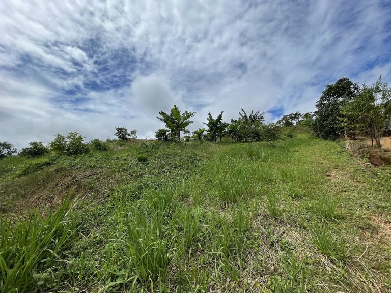 Bán đất, Đường Phước Thành, Phường 7, Đà Lạt, Đường đất 6m, 620 m2