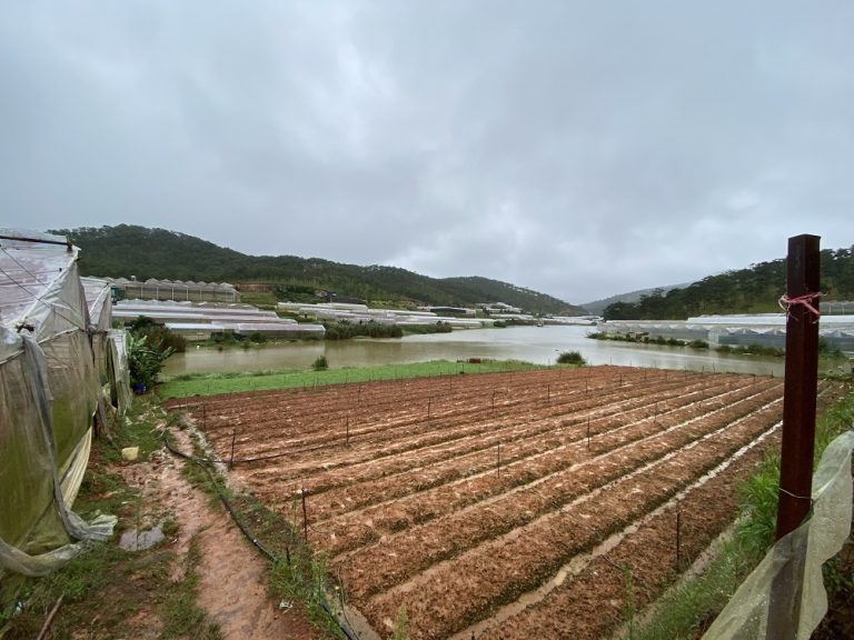 Bán đất, Đường Thái Phiên, Phường 12, Đà Lạt, Đường ô tô, 1000 m2