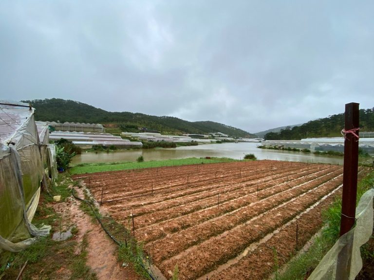 Bán đất, Thái Phiên, Phường 12, Tp Đà Lạt, Đường ô tô 3 m, 5084 m2