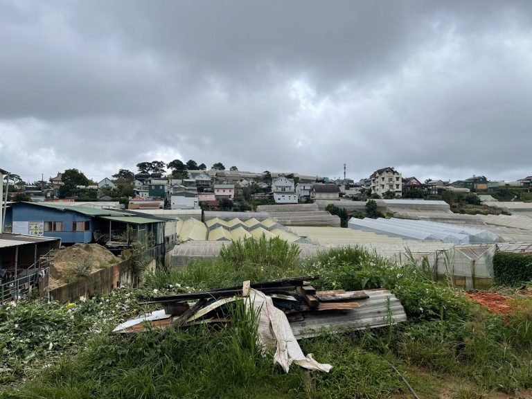 Bán đất, Đường Đinh Công Tráng, Phường 7, Đà Lạt, Đường nhựa 8m, 1000m2