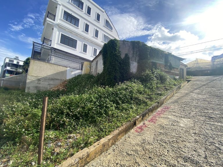 Bán đất, Đường Hùng Vương, Phường 10, Đà Lạt, Đường nhựa ô tô 5m, 265 m2