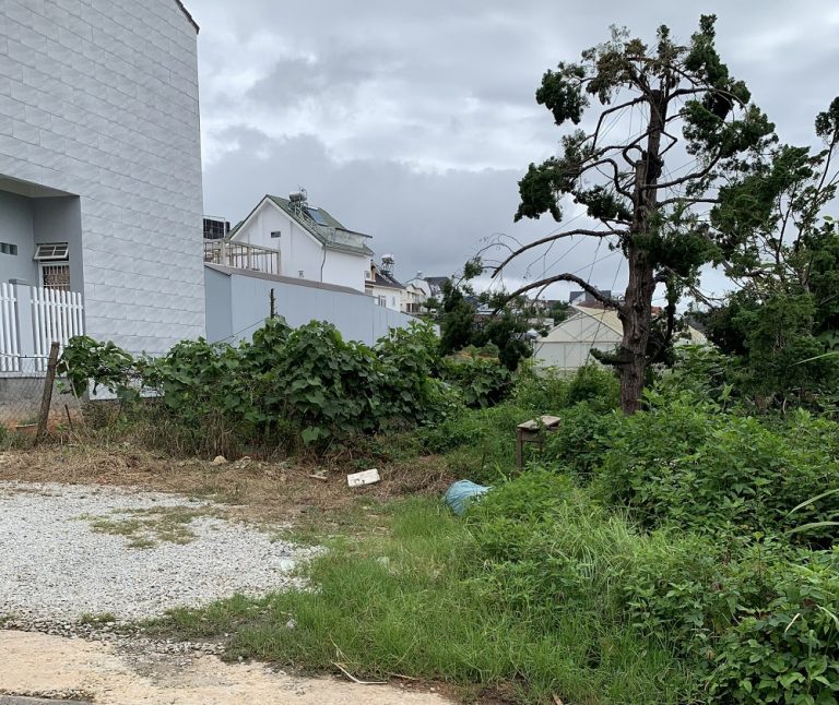 Bán đất, Đường Vạn Hạnh, Phường 8, Tp Đà Lạt, Đường nhựa ô tô vào tận nơi, 200 m2