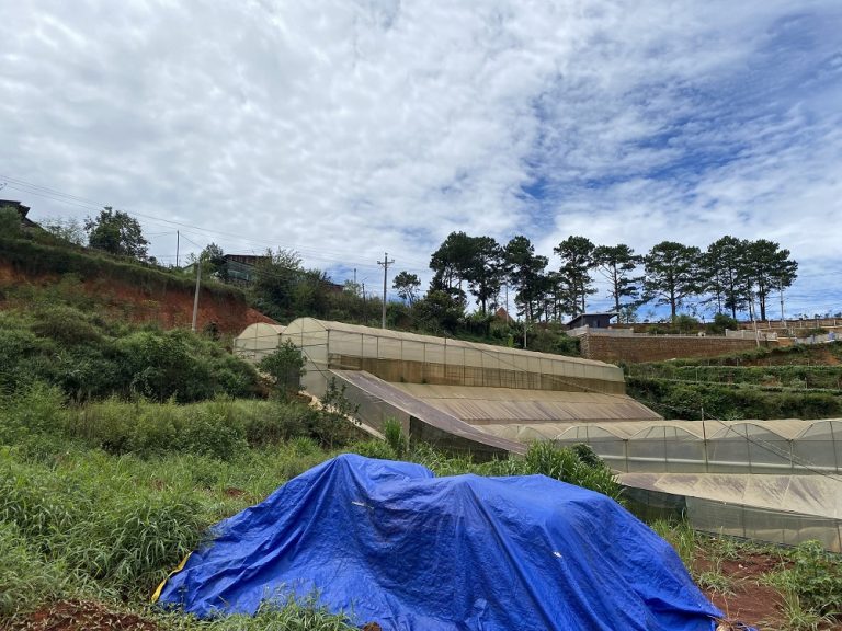 Bán đất, Xã Xuân Thọ, Tp Đà Lạt, Đường bê tông ô tô tận nơi, 500m2