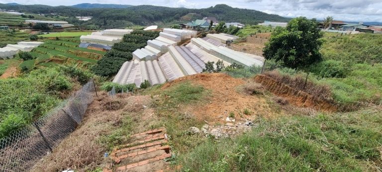 Bán đất, Xã Xuân Thọ, Đà Lạt, Đường nhựa 5m, 800 m2