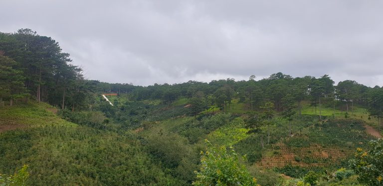 Bán đất, Xã Xuân Trường, Đà Lạt, Đường bê tông 3m, 1700 m2