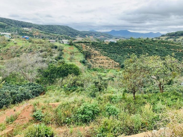 Bán đất, Xuân Trường, Tp Đà Lạt, Lâm Đồng, Mặt tiền đường ô tô 5 m, 572 m2