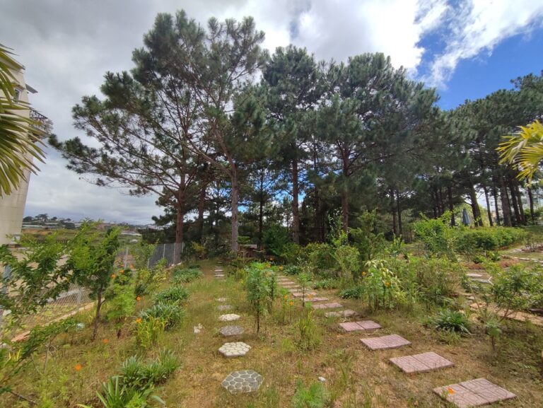 Bán đất, Đường An Sơn, Phường 4, Tp Đà Lạt, Đường nhựa 8 m, 186 m2