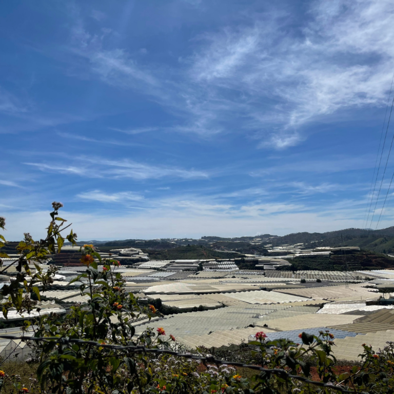 Bán đất, Đường Đankia, Thị trấn Lạc Dương, Huyện Lạc Dương, Đường đất 5 m, 7500 m2