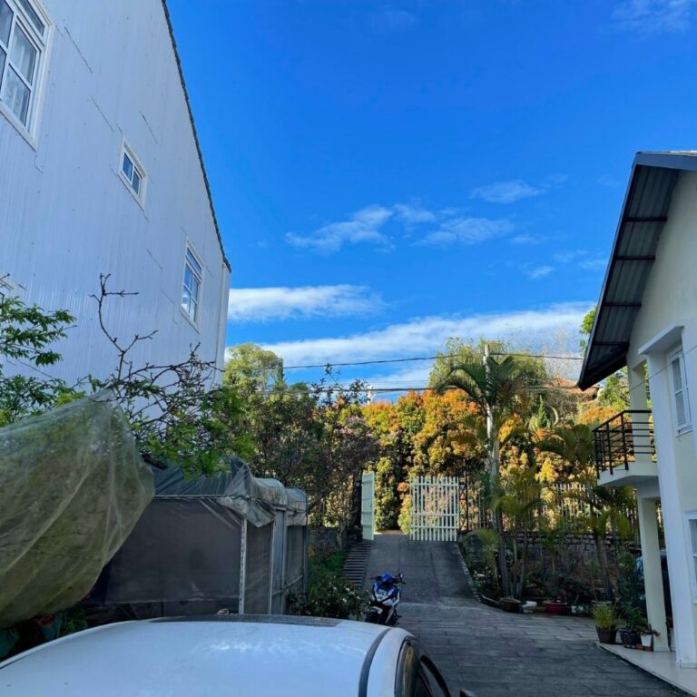 Bán đất, Đường Hai Bà Trưng, Phường Cam Ly (P6 cũ), TP Đà Lạt, Đường bê tông 4m, 264m2