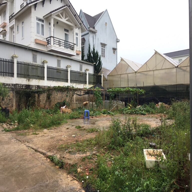 Bán đất, Đường Hồ Xuân Hương, Phường 9, TP Đà Lạt, Đường bê tông 3,5m, 120m2
