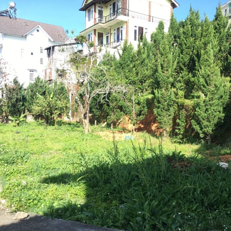 Bán đất, Đường Khe Sanh, Phường 10, TP Đà Lạt, Đường bê tông 4m, 600m2