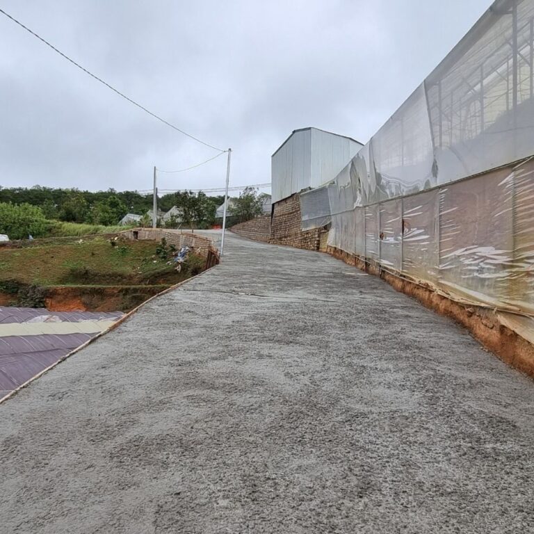 Bán đất, Đường Tự Tạo, Phường 11, TP Đà Lạt, Đường ô tô 4m, 555m2