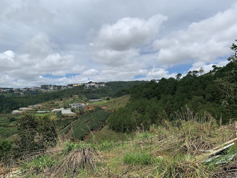 Bán đất, Đường Hùng Vương, Phường 11, Tp Đà Lạt, Đường bê tông 3 m, 500 m2