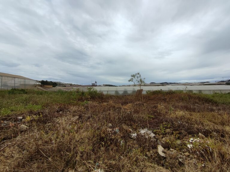 Bán đất, Đường Nguyễn Hữu Cầu, Phường 11, Tp Đà Lạt, Đường nhựa 5 m, 285 m2