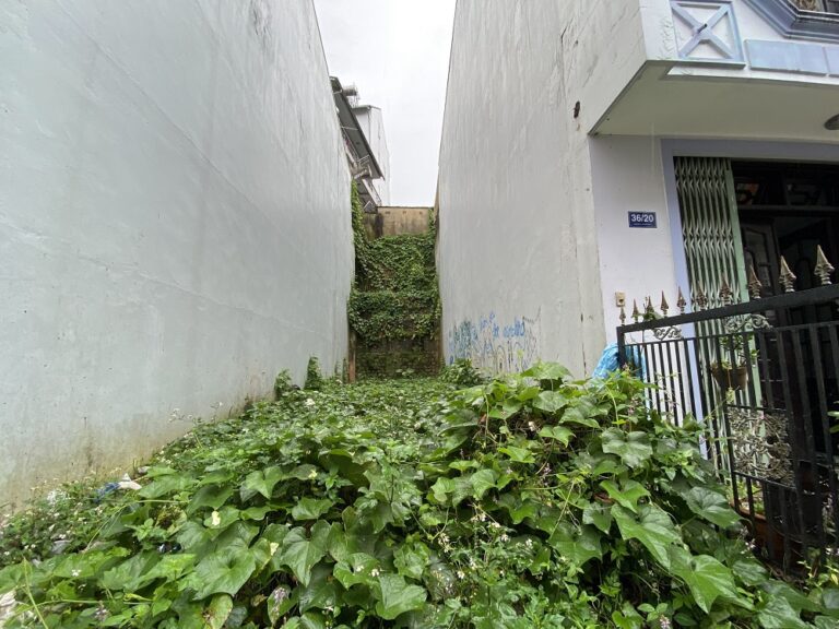 Bán đất, Đường Nguyễn Lương Bằng, Phường 2, Tp Đà Lạt, Đường ô tô vào tận nơi 5 m, 80 m2