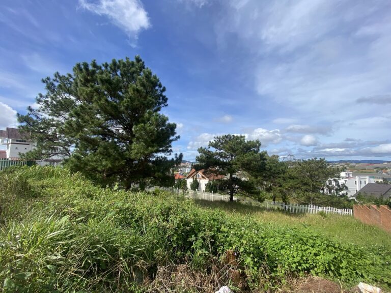 Bán đất, Đường Phù Đổng Thiên Vương, Phường 8, Tp Đà Lạt, Đường ô tô vào tận nơi 6 m, 755 m2