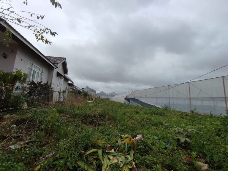 Bán đất, Đường Thái Phiên, Phường 12, Tp Đà Lạt, Đường nhựa 2 m, 293 m2