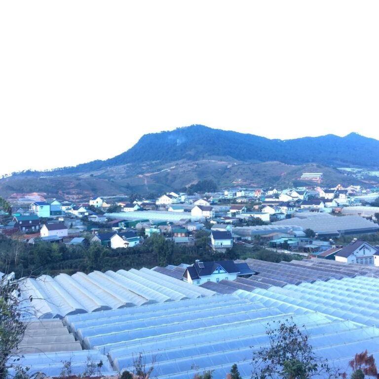 Bán đất, Đường 19 tháng 5, Thị trấn Lạc Dương, Huyện Lạc Dương, Đường nhựa 22m, 100m2