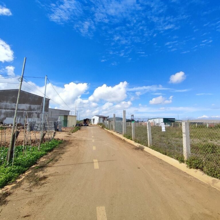 Bán đất, Thị trấn Liên Nghĩa, Huyện Đức Trọng, Đường nhựa 6m, 117 m2