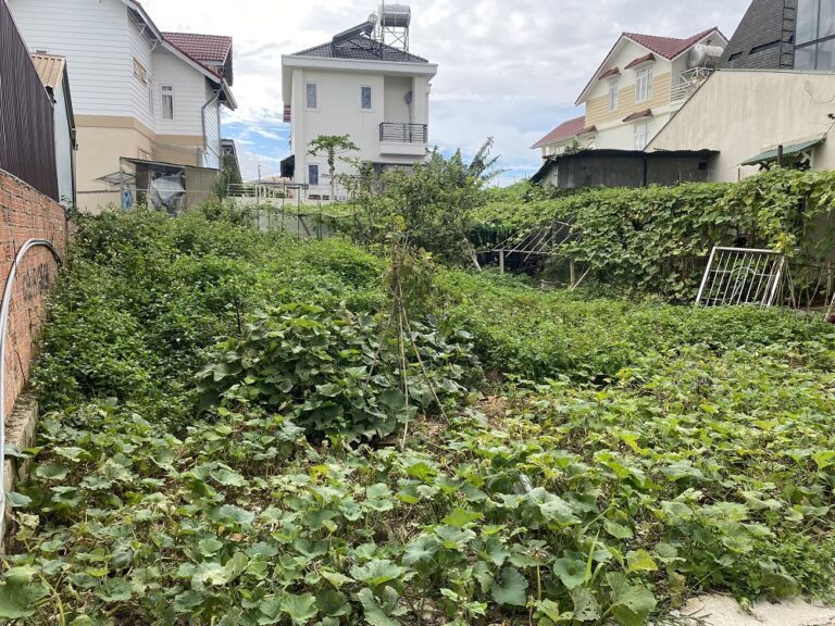 Bán đất, Đường Trịnh Hoài Đức, Phường 11, Tp Đà Lạt, Đường ô tô 4 m, 312 m2