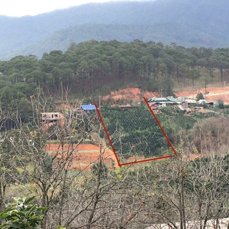 Bán đất, Xã Đạ Sar, Huyện Lạc Dương, Đường nhựa 10m, 4000m2