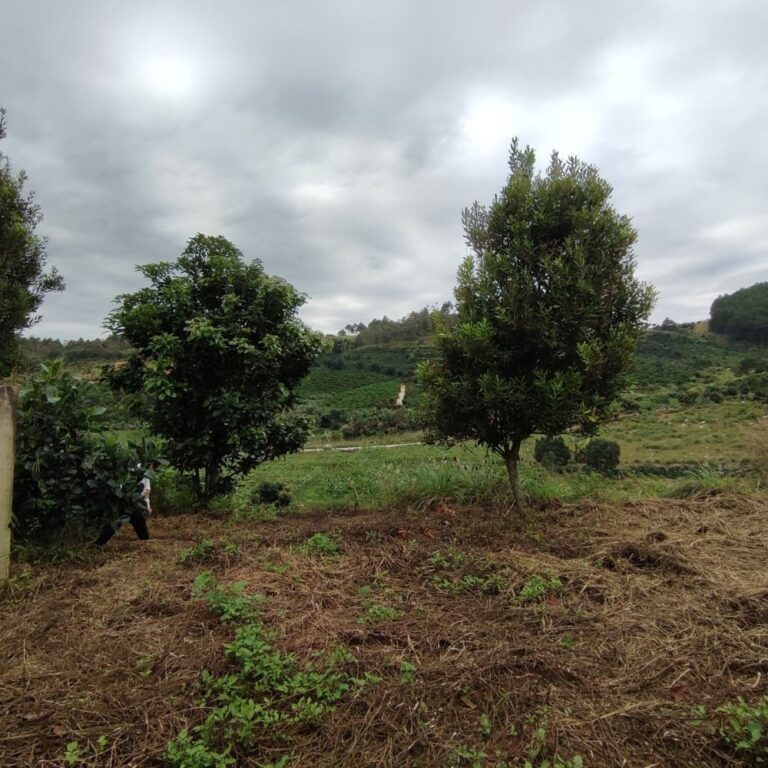 Bán đất, Xã Đông Thanh, Huyện Lâm Hà, Đường bê tông ô tô 5m, 540 m2