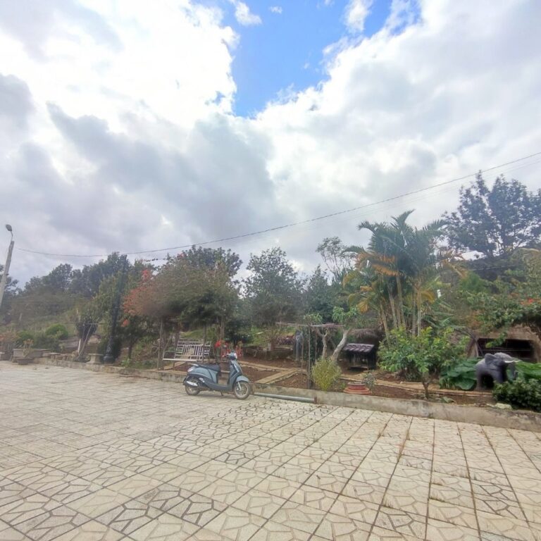 Bán đất, Thôn Tân An, Xã Hiệp An, Huyện Đức Trọng, Mặt tiền đường nhựa, 11000 m2