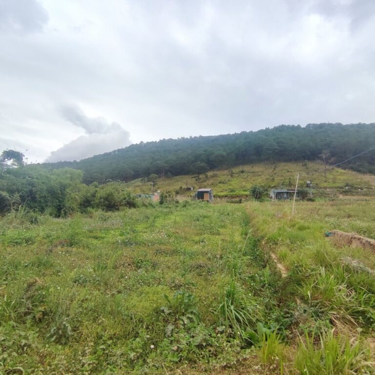 Bán đất, Xã Hiệp Thạnh, Huyện Đức Trọng, Đường ô tô 3,5m, 1485 m2