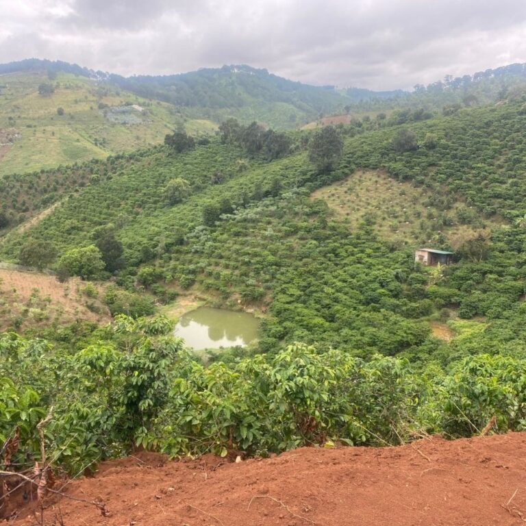 Bán đất, Suối Nước Trong , Xã Tà Nung, TP Đà Lạt, Đường đất xe máy 2,5m, 12000m2