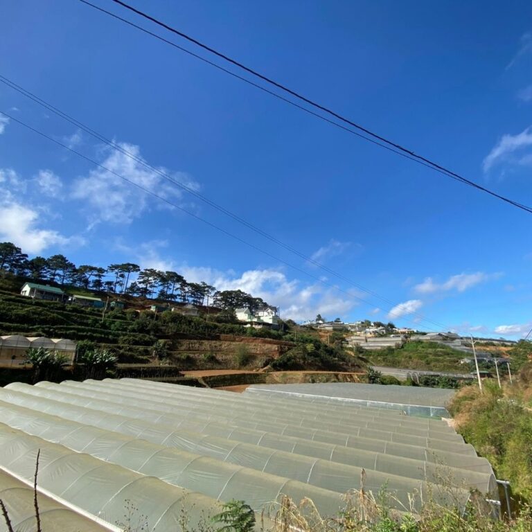 Bán đất, Xã Xuân Thọ, TP Đà Lạt, Đường bê tông ô tô tận nơi, 817 m2