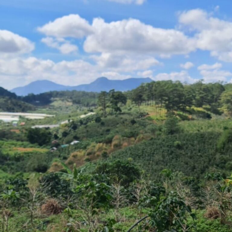 Bán đất, Đường Xuân Sơn, Xã Xuân Trường, TP Đà Lạt, Đường bê tông ô tô tận nơi, 3100m2