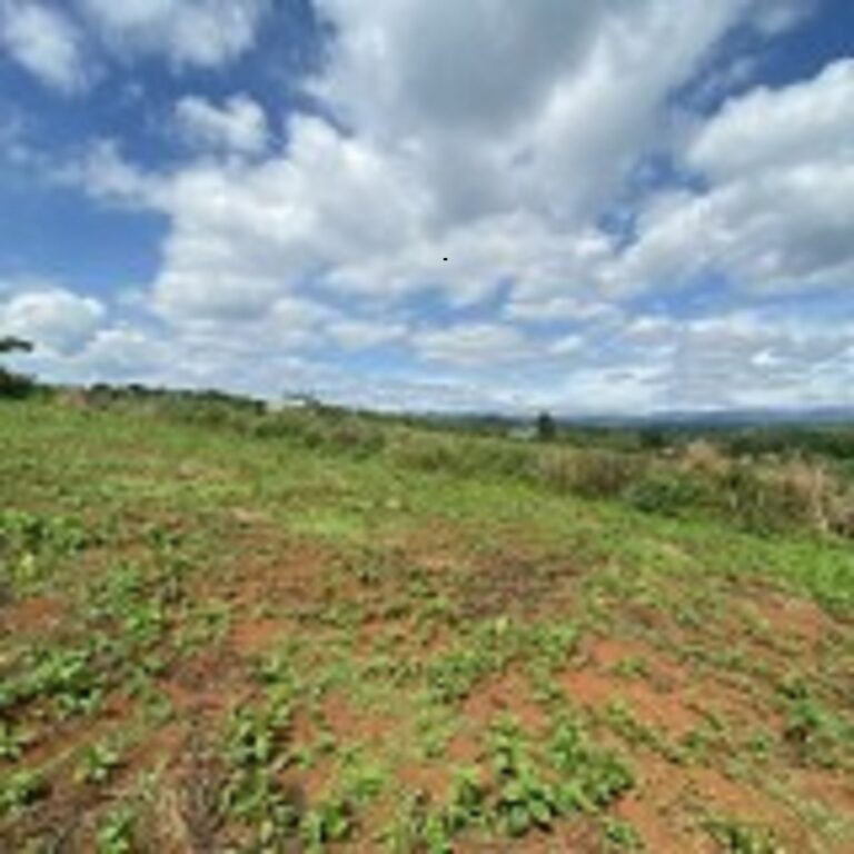 Bán đất, Xã Nam Hà, Huyện Lâm Hà, Đường bê tông 5m, 500m2/nền (Ngang 10m x 50m)