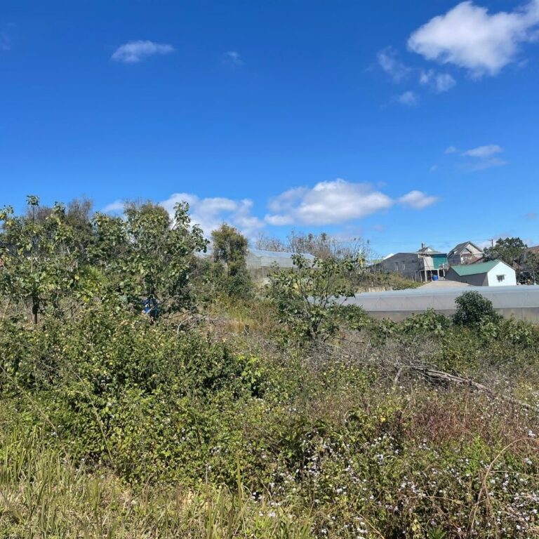 Bán đất, Xã Đa Nhim, Huyện Lạc Dương, Đường bê tông ô tô 5m, 2547m2