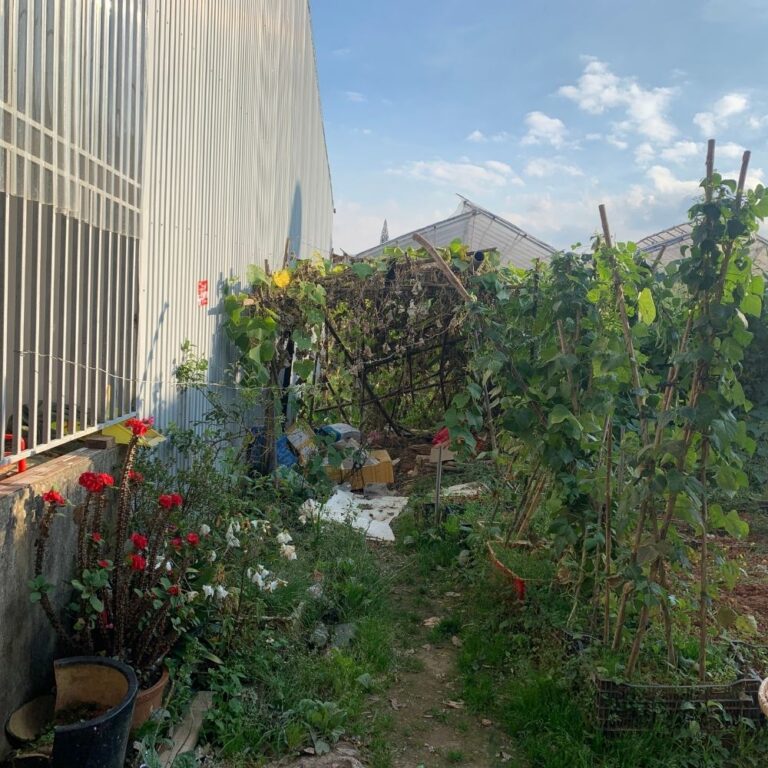 Bán đất, Đường Lữ Gia, Phường 9, TP Đà Lạt, Đường hẻm 2.5m, 78m2