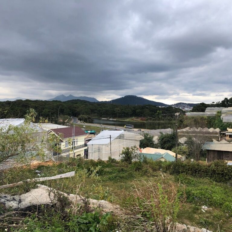 Bán đất, Đường Nam Hồ, Phường 11, TP Đà Lạt, Đường bê tông ô tô tận nơi, 232m2