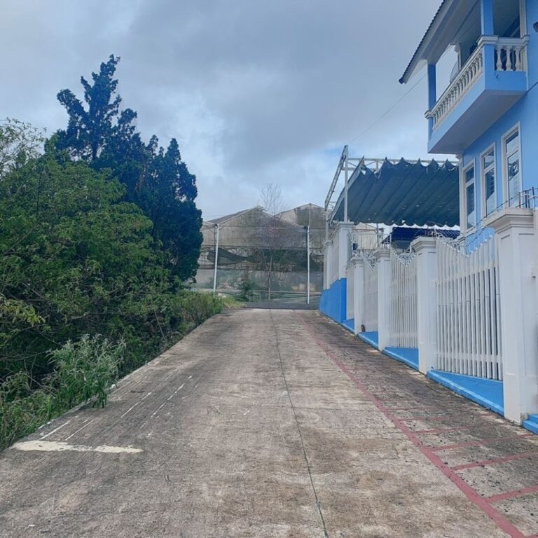 Bán đất, Đường Trần Đại Nghĩa, Phường 8, TP Đà Lạt, Đường hẻm bê tông ô tô tận nơi, 294m2