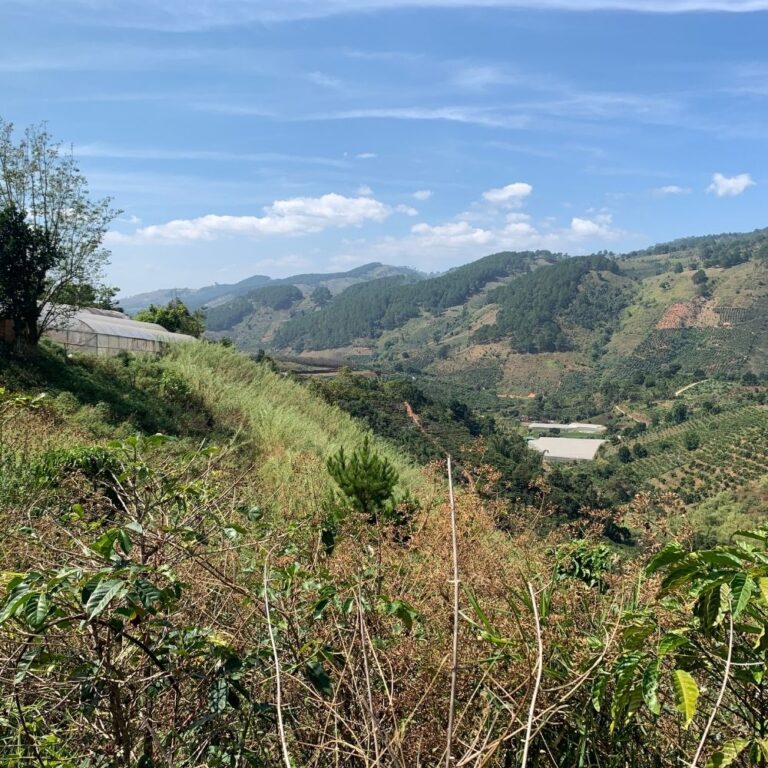 Bán đất, Xã Tà Nung, TP Đà Lạt, Đường hẻm 3m, 1700m2