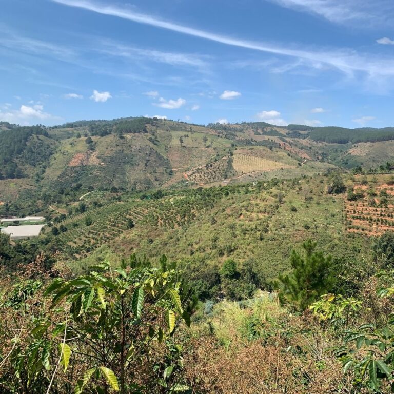 Bán đất, Xã Tà Nung, TP Đà Lạt, Đường ô tô 5m, 575m2