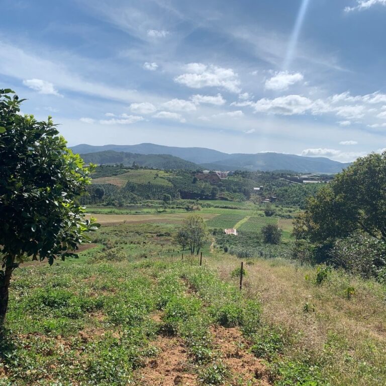 Bán đất, Xã Tà Nung, TP Đà Lạt, Đường đất 3m, 8479m2