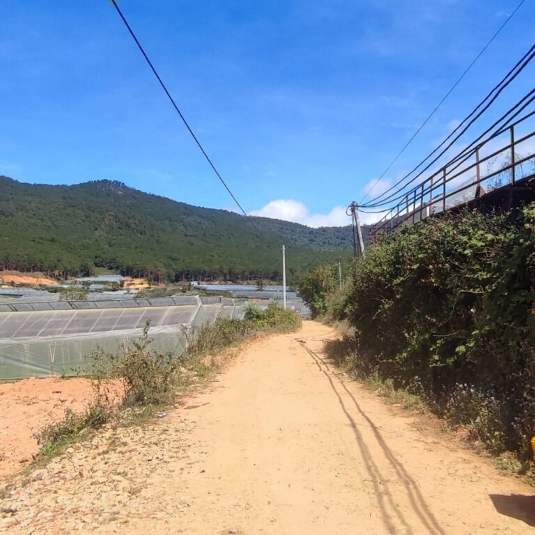 Bán đất, TDP Bon Đưng I, Huyện Lạc Dương, Đường đất, 3000m2